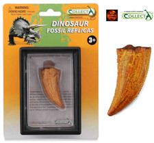 Tyrannosaurus Rex Dinosaur