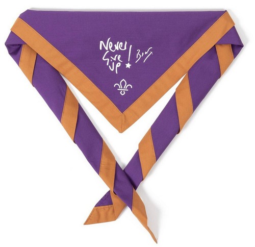 Gilwell never give - gilwell, up
