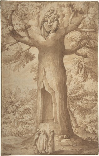 Jacopo ligozzi beech tree - ligozzi,