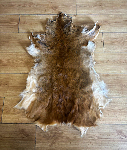 Roe deer hide - roe,