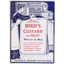 BIRDS CUSTARD With Fruit -