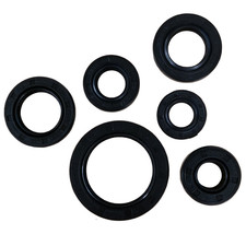 Pit Dirt Bike OIL SEAL Kit