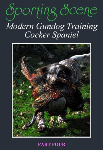 Modern gundog training cocker - modern,