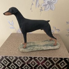Vintage Border Fine Arts Standing Doberman Pinscher Dog 1982 Signed TW Ayres