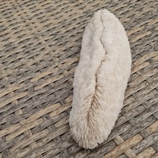 Vintage Piece Of Natural White Slipper Mushroom Coral Nautical Sea reef
