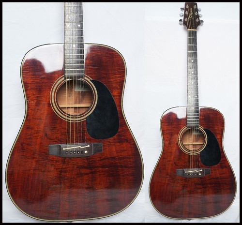 Takamine 207 hawaiian koa - takamine,