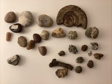 Fossils Geodes Crystal Gem stones of unknown type