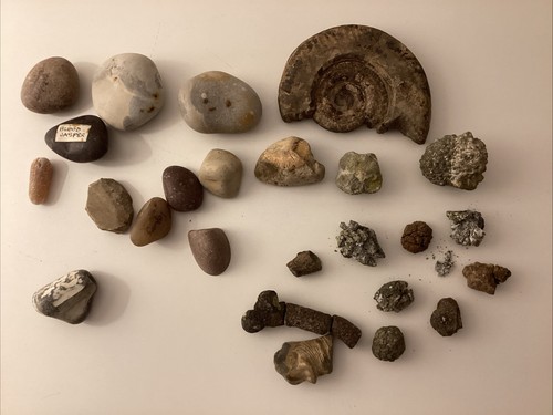 Fossils geodes crystal gem - geodes,