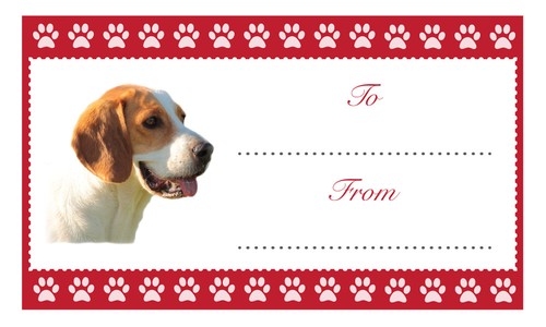 Beagle dog christmas birthday - dog,