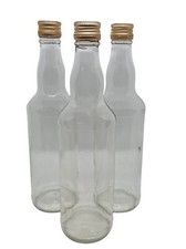 Glass bottle clear 500ml - bottle,