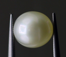 Mumbai Trust Certified Natural Basra Pearl Loose Cream Color Lusters 1.58 Ct Gem