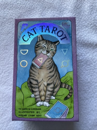 Cat tarot cards and - cat,