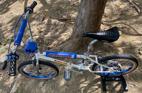 1983 mongoose expert redline - 1983,