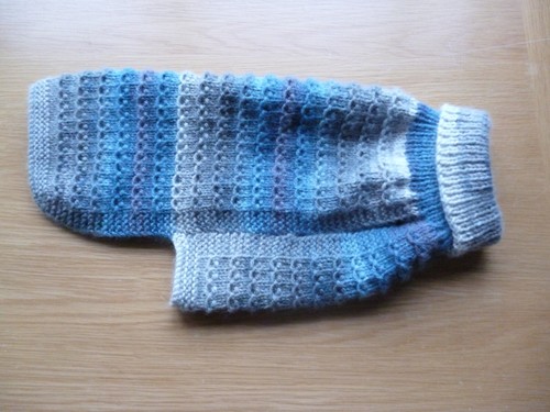 Hand knitted dog - hand, dog/cat