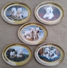 5 FRANKLIN MINT “WEST HIGHLAND WHITE TERRIER” LTD EDN PLATES by NIGEL HEMMING