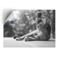 1 x Vinyl Sticker A4 - BW -