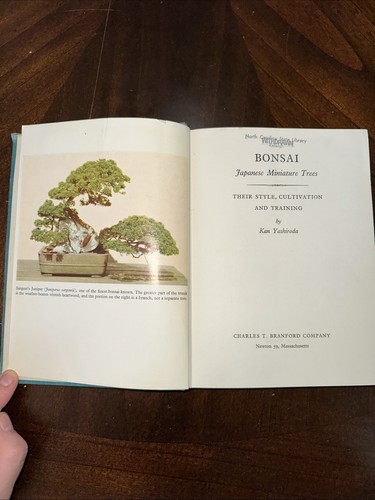 Bonsai japanese miniature - bonsai,
