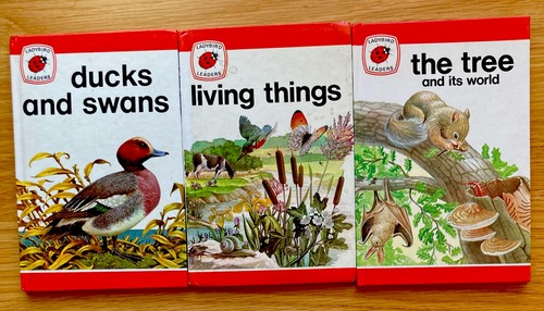 Ladybird leaders 737 - ladybird, ‘leaders’