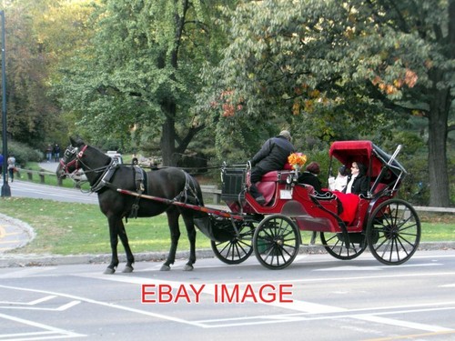 Photo new york horse and - new,