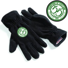 The Celts Champions 55 Fanmade