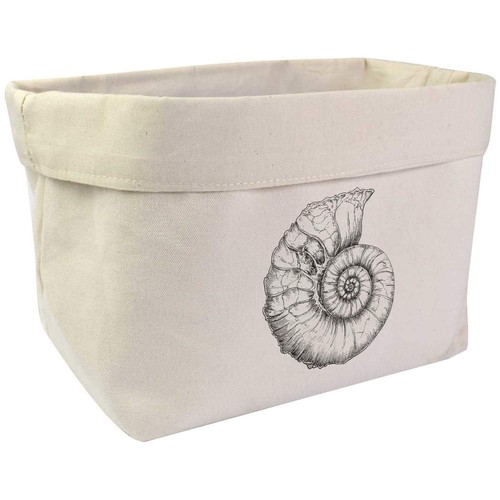 Ammonite fossil organiser - 'ammonite, /