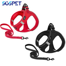 Puppy Breathable Mesh Harness Vest Collar Soft Chest Strap Leash Set SGS UK HOT