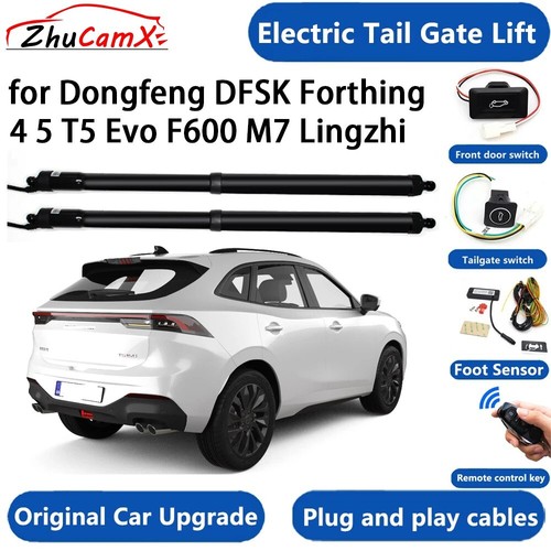 Electric tail gate lift for - electric,
