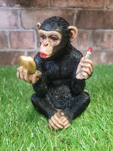 Cheeky monkey with red - cheeky,