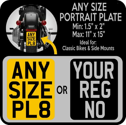 Any custom size portrait - custom, 3