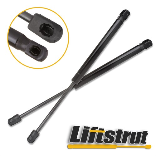 Pair rear trunk lift supports - trunk,