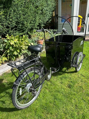 Cargo electric tricycle - tricycle, 9ah