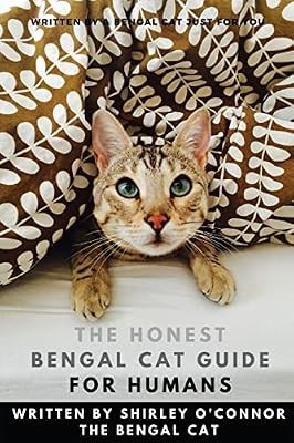 The honest bengal cat - bengal,