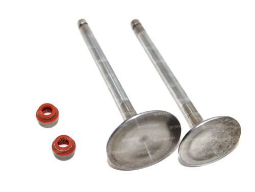 Engine valve inlet exhaust - inlet,