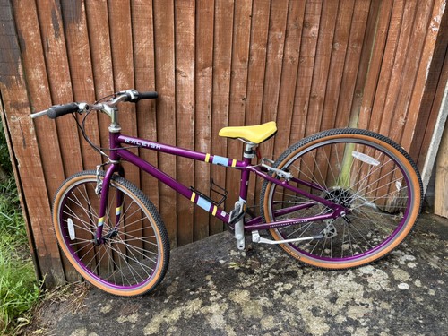 Raleigh pop kids - raleigh, 24”