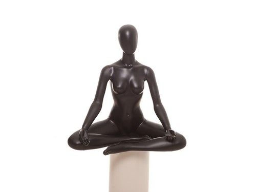 Adult female matte - adult, egg