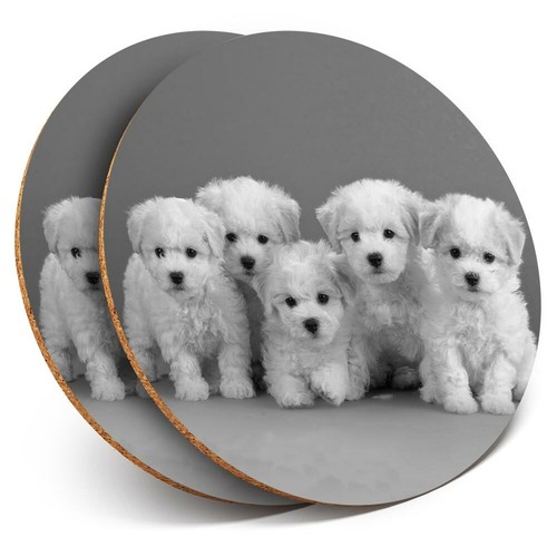 Coasters white bichon - 2,