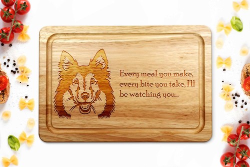 Shetland sheepdog sheltie - sheepdog,