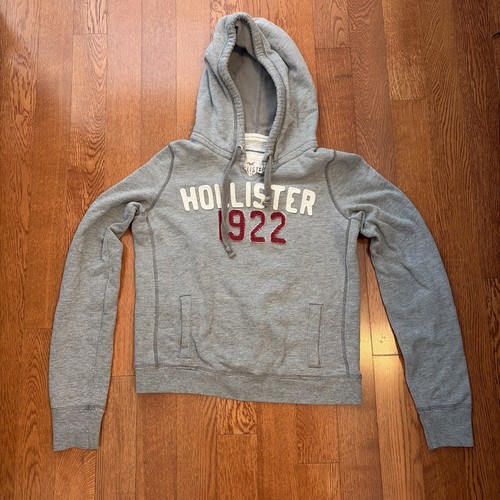 Vtg hollister hoodie - vtg,