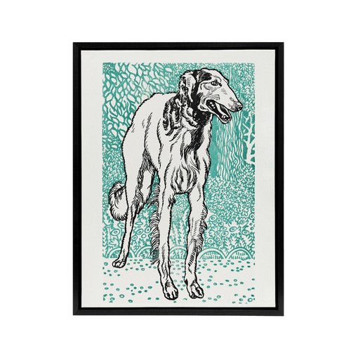 Long haired greyhound russian - long,