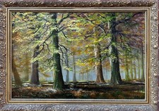 Stanley Dollimore : Woodland