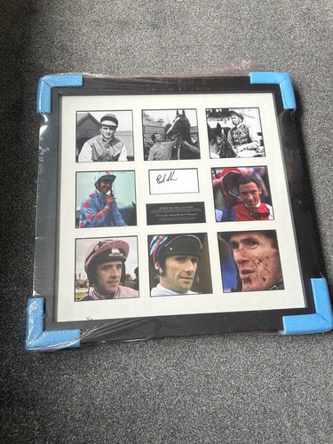 Horse racing legends bob - racing,