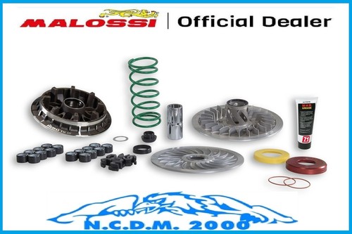 Malossi 6118154 complete - 6118154,