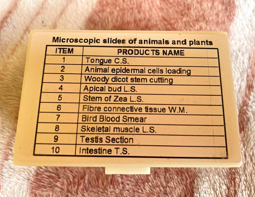 Uscamel microscope slides - microscope,