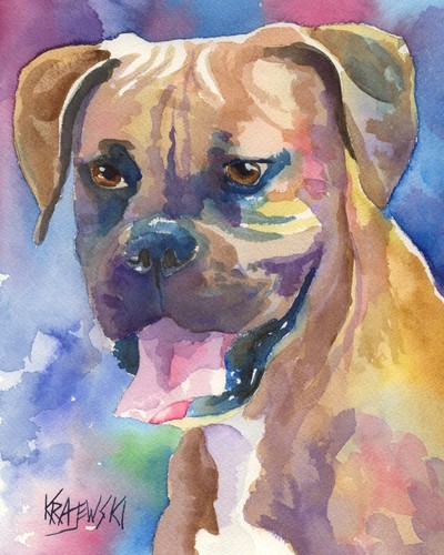 Boxer high resolution print - high,