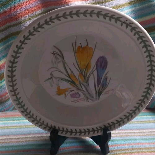 Portmeirion bowl rim - portmeirion,