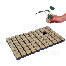 Grodan 36mm SBS Rockwool Propagation Grow Cubes Tray Of 77 Starter Hydro Cutting