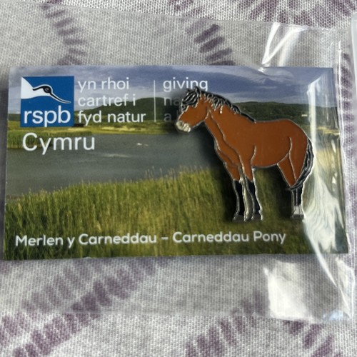 Rspb cymru carneddau pony pin - rspb,