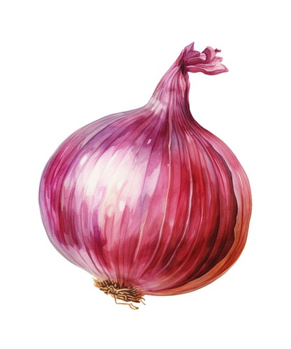 Watercolour vegetables 9x9 - , cm