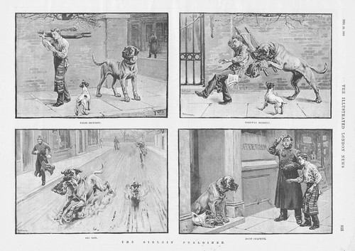 Dogs the sirloin purloined - dogs, by