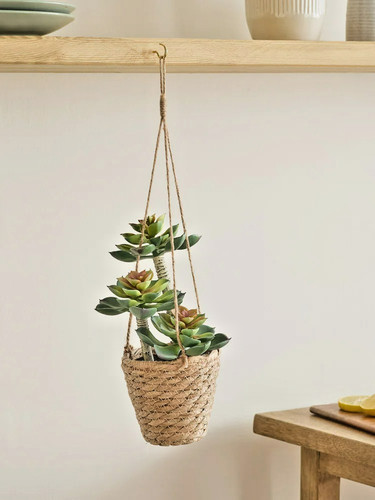 Next artificial succulent - artificial,